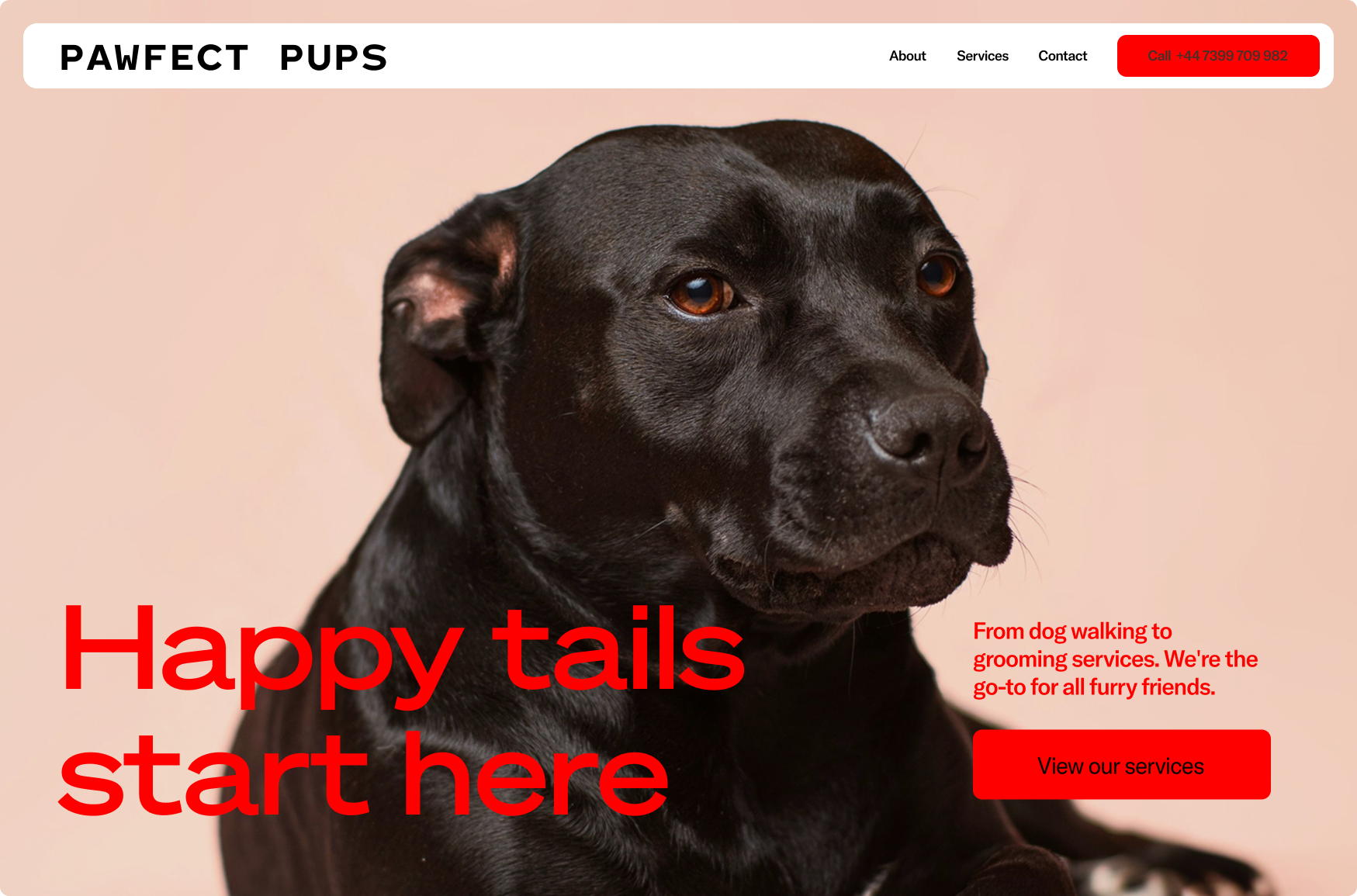 Happy Tails dog services website